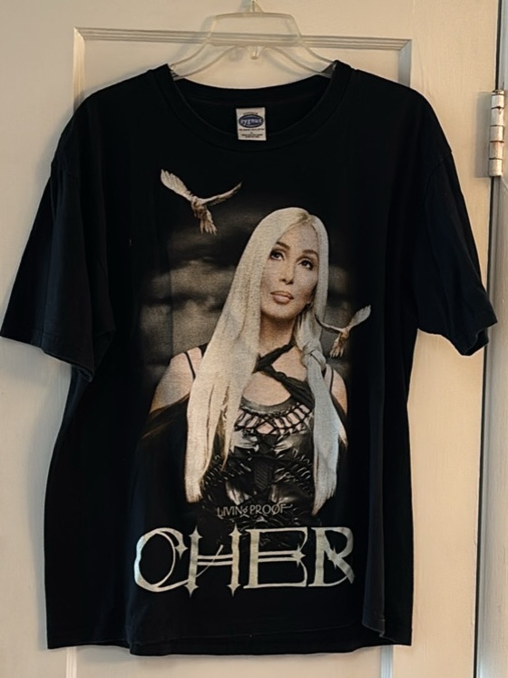 Vintage 2002 Cygnus Cher Graphic Tour T‑Shirt - Black with White Print